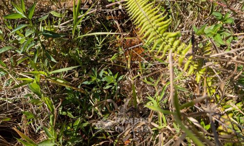 PXL_20250822_132244227