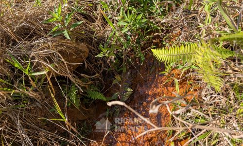 PXL_20250822_132246959