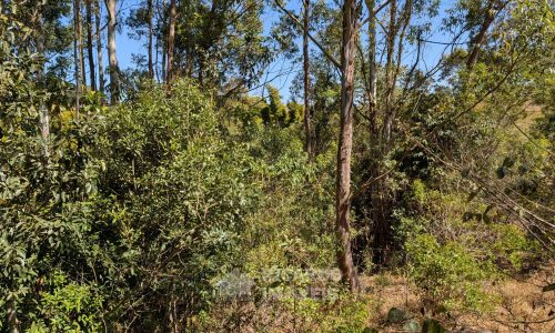 PXL_20250822_133247574