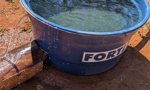 PXL_20250822_133721533