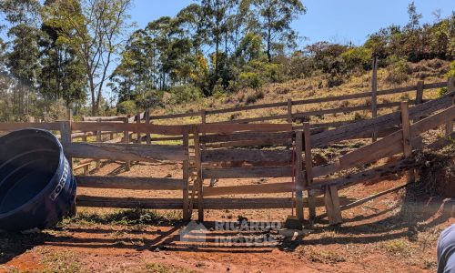 PXL_20250822_133730319