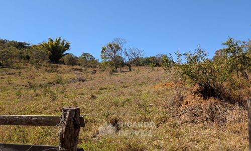 PXL_20250822_133928244