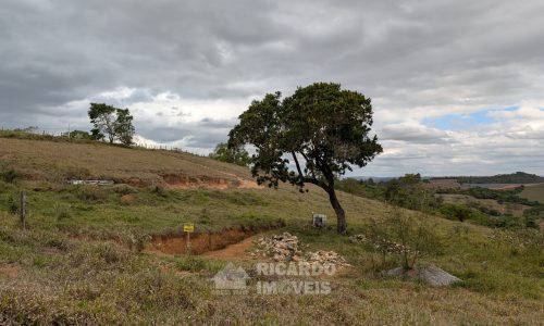 PXL_20251020_172823046