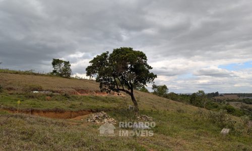 PXL_20251020_172834167