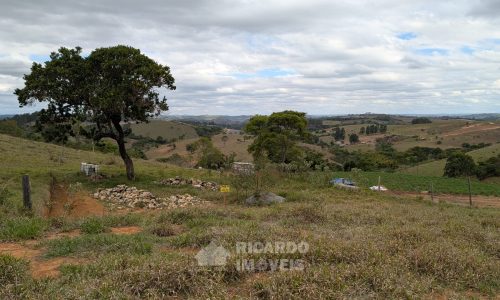 PXL_20251020_172851457