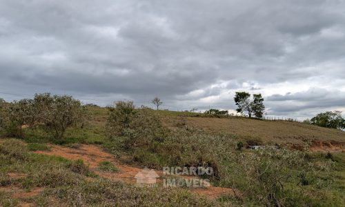 PXL_20251020_172901092