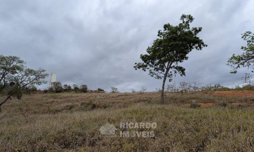 PXL_20251020_172914007