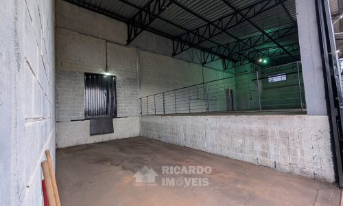 PXL_20251103_203652336.MP