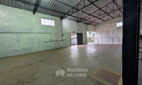 PXL_20251103_203749723.MP