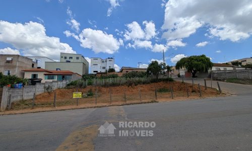 PXL_20251121_163053009.MP~2