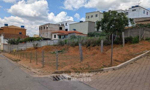 PXL_20251121_163128358.MP~2