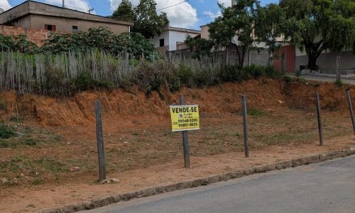 PXL_20251121_163146338.MP~2