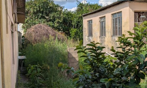 PXL_20251127_180712854.MP