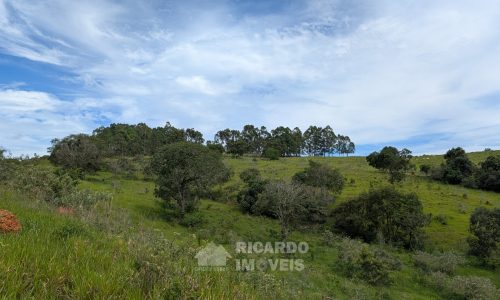 PXL_20260102_124707006.MP