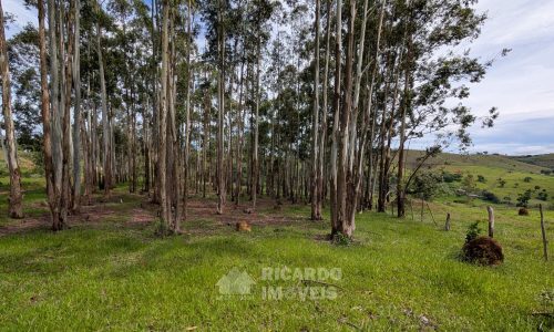 PXL_20260102_125618356.MP