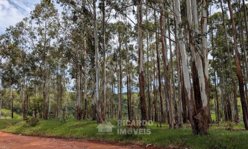 PXL_20260102_125718989.MP