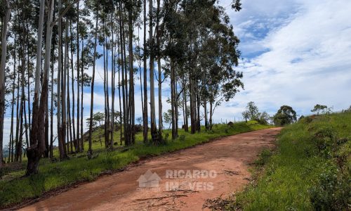 PXL_20260102_125723602.MP