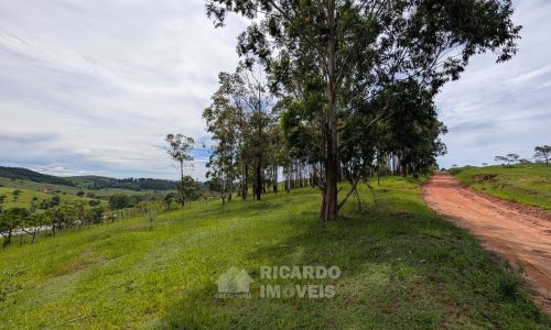 PXL_20260102_125943040.MP