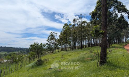 PXL_20260102_130035719.MP