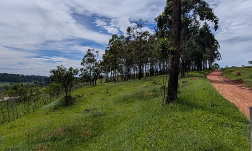 PXL_20260102_130038490.MP