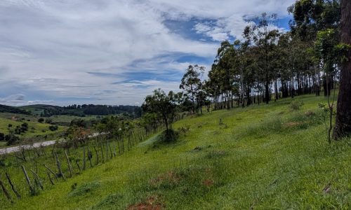 PXL_20260102_130048590.MP