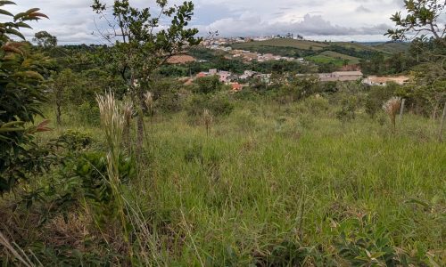 PXL_20260226_193406248