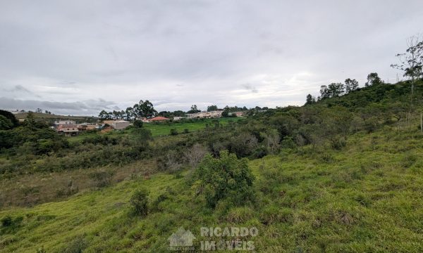 PXL_20260226_194651865
