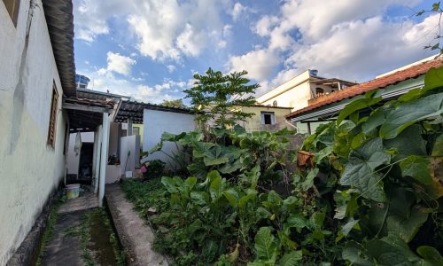 PXL_20260416_194437673.MP