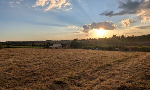 PXL_20260420_201259209