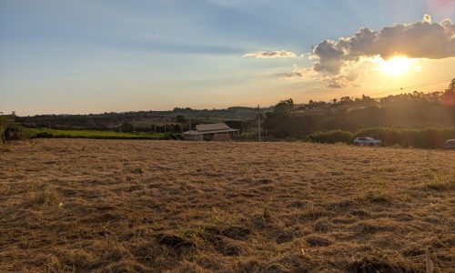 PXL_20260420_201316354