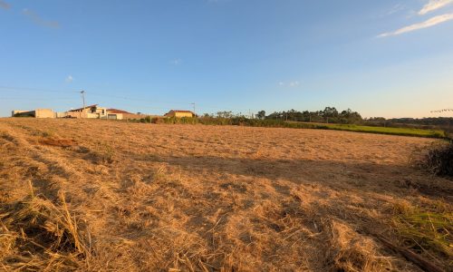 PXL_20260420_201506387