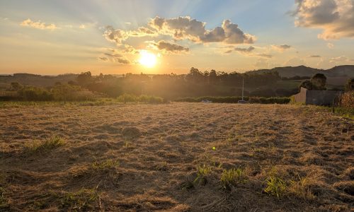 PXL_20260420_202256746.MP