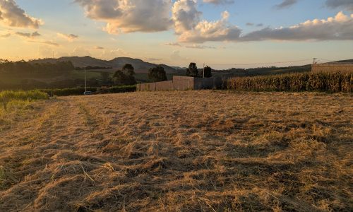 PXL_20260420_202411366