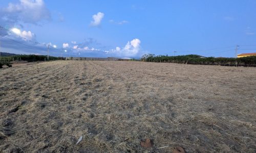 PXL_20260420_205832687