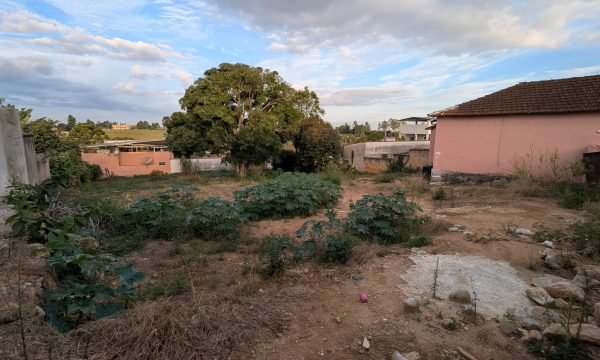 PXL_20260526_194629697