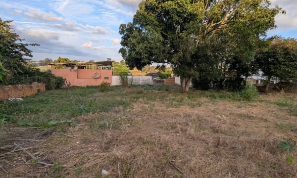 PXL_20260526_194743425