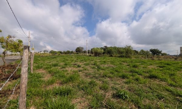 PXL_20260528_130256373.MP
