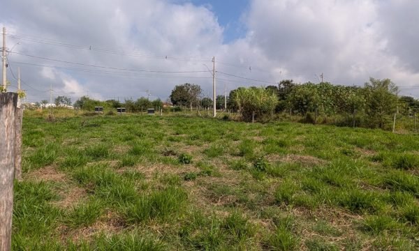 PXL_20260528_130300249.MP