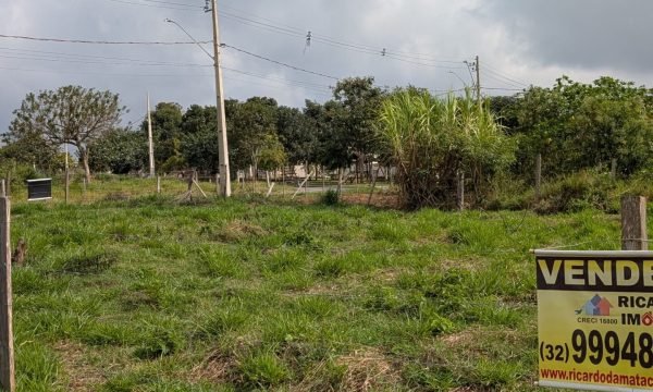 PXL_20260528_130315871.MP