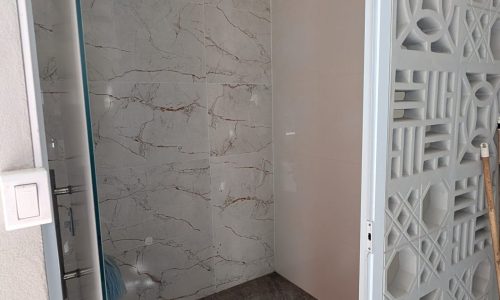 PXL_20260609_181710453.MP