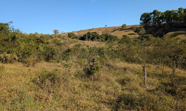 PXL_20260618_181856847.MP