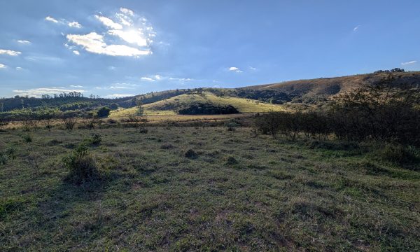 PXL_20260618_184138562.MP