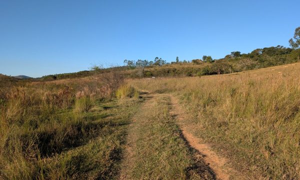 PXL_20260618_190354345.MP