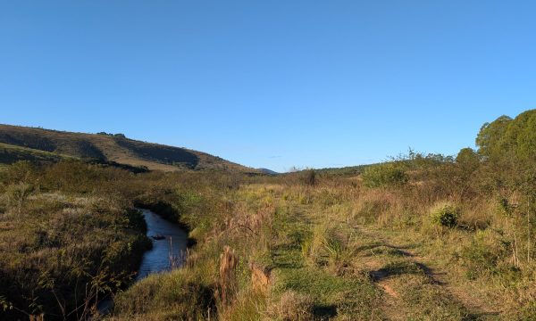PXL_20260618_190906100.MP