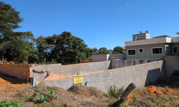PXL_20260629_144602043.MP