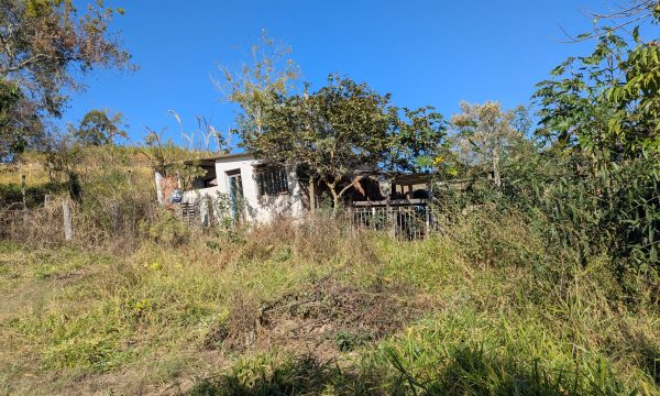 PXL_20260723_124850994
