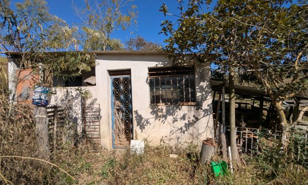 PXL_20260723_125123928