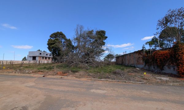 PXL_20260731_140645426.MP