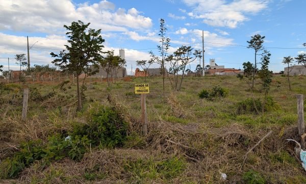 PXL_20260806_190022959.MP