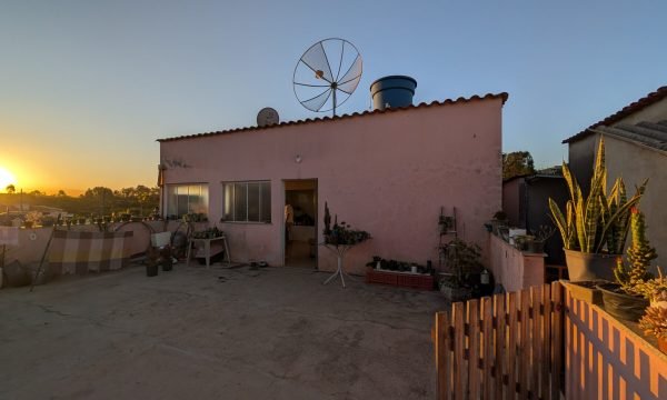 PXL_20260818_202826311.MP
